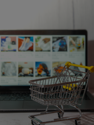 Custom E-Commerce Website Development